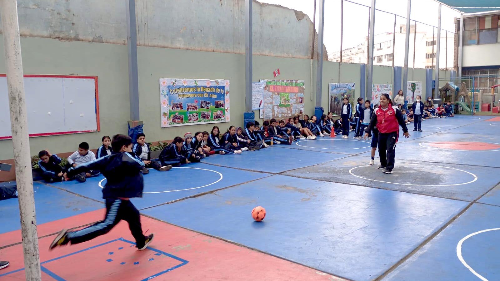 boletín