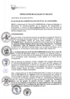 Vista preliminar de documento RA-062-2015-MDJM