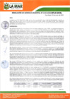 Vista preliminar de documento RGM-193-2023-MPLM