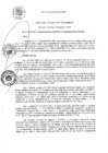 Vista preliminar de documento RA 176-2020