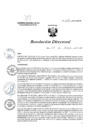 Vista preliminar de documento R.D. 045-2023