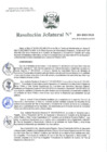 Vista preliminar de documento Resolución Jefatural Nº 295-2023-INEI