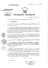 Vista preliminar de documento RD N° 293-2017-HCH-DG