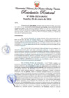 Vista preliminar de documento Resolución Rectoral