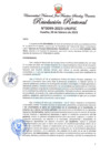 Vista preliminar de documento Resolución Rectoral