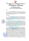 Vista preliminar de documento Resolución Rectoral