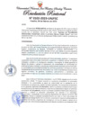 Vista preliminar de documento Resolución Rectoral