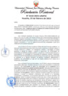 Vista preliminar de documento Resolución Rectoral