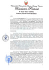 Vista preliminar de documento Resolución Rectoral