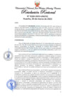 Vista preliminar de documento Resolución Rectoral