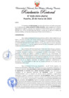 Vista preliminar de documento Resolución Rectoral