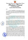 Vista preliminar de documento Resolución Rectoral