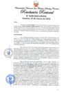 Vista preliminar de documento Resolución Rectoral