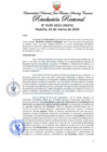 Vista preliminar de documento Resolución Rectoral