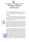 Vista preliminar de documento Resolución Rectoral