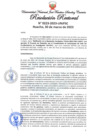 Vista preliminar de documento Resolución Rectoral