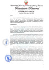Vista preliminar de documento Resolución Rectoral