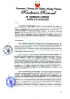 Vista preliminar de documento Resolución Rectoral