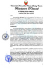 Vista preliminar de documento Resolución Rectoral
