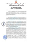 Vista preliminar de documento Resolución Rectoral