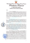 Vista preliminar de documento Resolución Rectoral