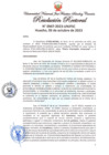 Vista preliminar de documento Resolución Rectoral