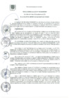 Vista preliminar de documento RA 191-2020