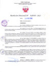 Vista preliminar de documento RD Nº00303