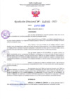 Vista preliminar de documento RD Nº000305 