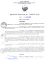 Vista preliminar de documento RD Nº000306