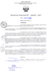 Vista preliminar de documento RD Nº000307 