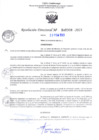 Vista preliminar de documento RD Nº000308 