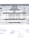 Vista preliminar de documento Resultado adjudicacion