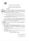 Vista preliminar de documento RA 194-2020