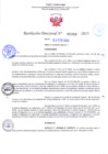 Vista preliminar de documento RD Nº000309