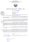 Vista preliminar de documento RD Nº000310 