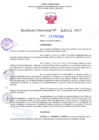 Vista preliminar de documento RD Nº000312