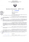 Vista preliminar de documento RD Nº000313