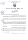 Vista preliminar de documento RD Nº000315