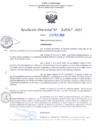 Vista preliminar de documento RD Nº000317 