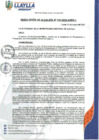 Vista preliminar de documento RA-132-2023