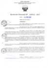 Vista preliminar de documento RD Nº000321