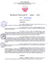 Vista preliminar de documento RD Nº000323
