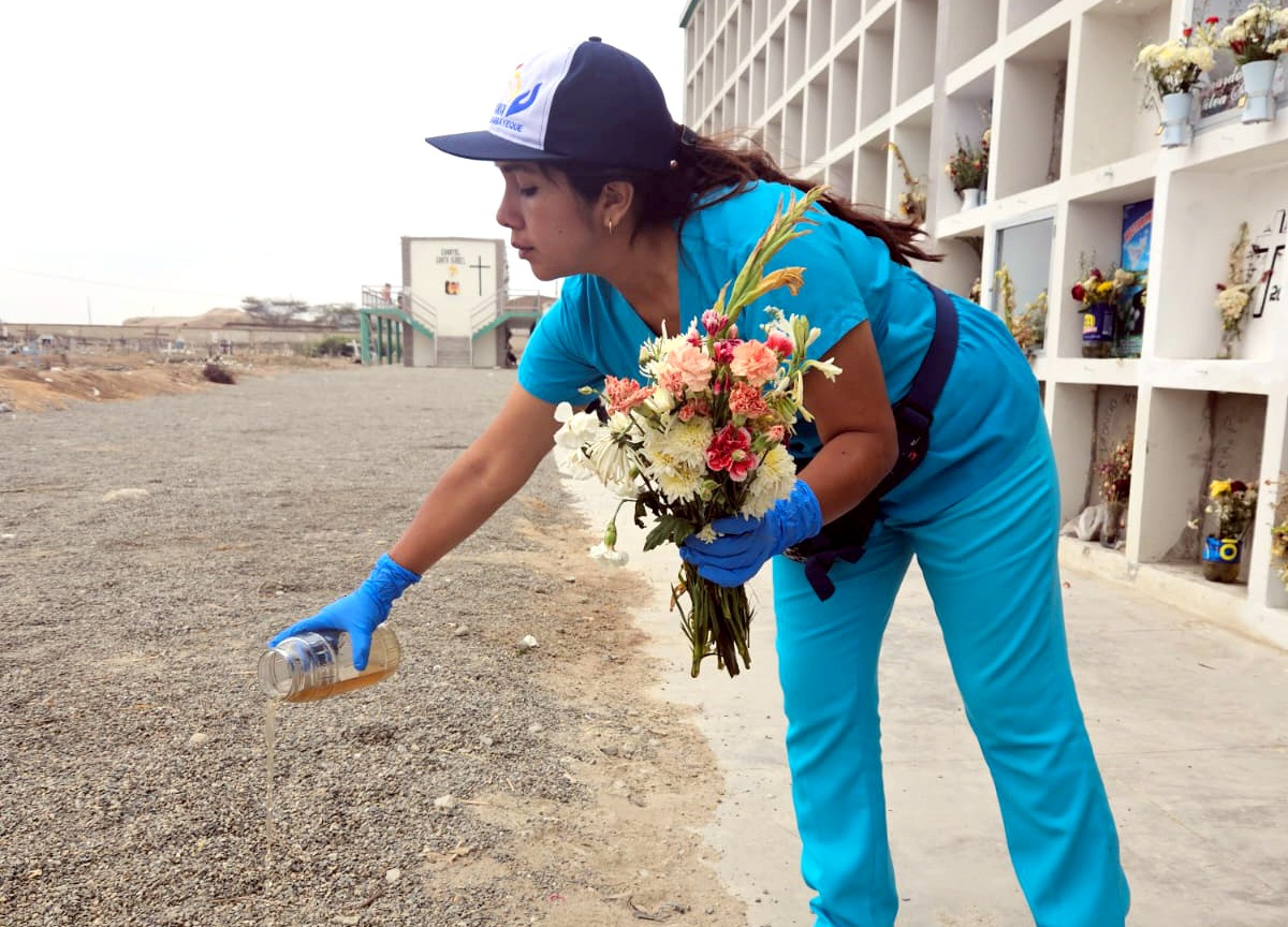 Geresa identifica larvas del zancudo del dengue en cementerios de Lambayeque
