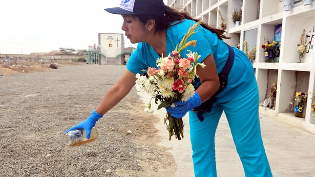 Geresa identifica larvas del zancudo del dengue en cementerios de Lambayeque