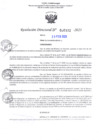 Vista preliminar de documento RD Nº000332 