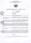 Vista preliminar de documento RD Nº000334