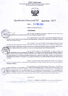 Vista preliminar de documento RD Nº000336 