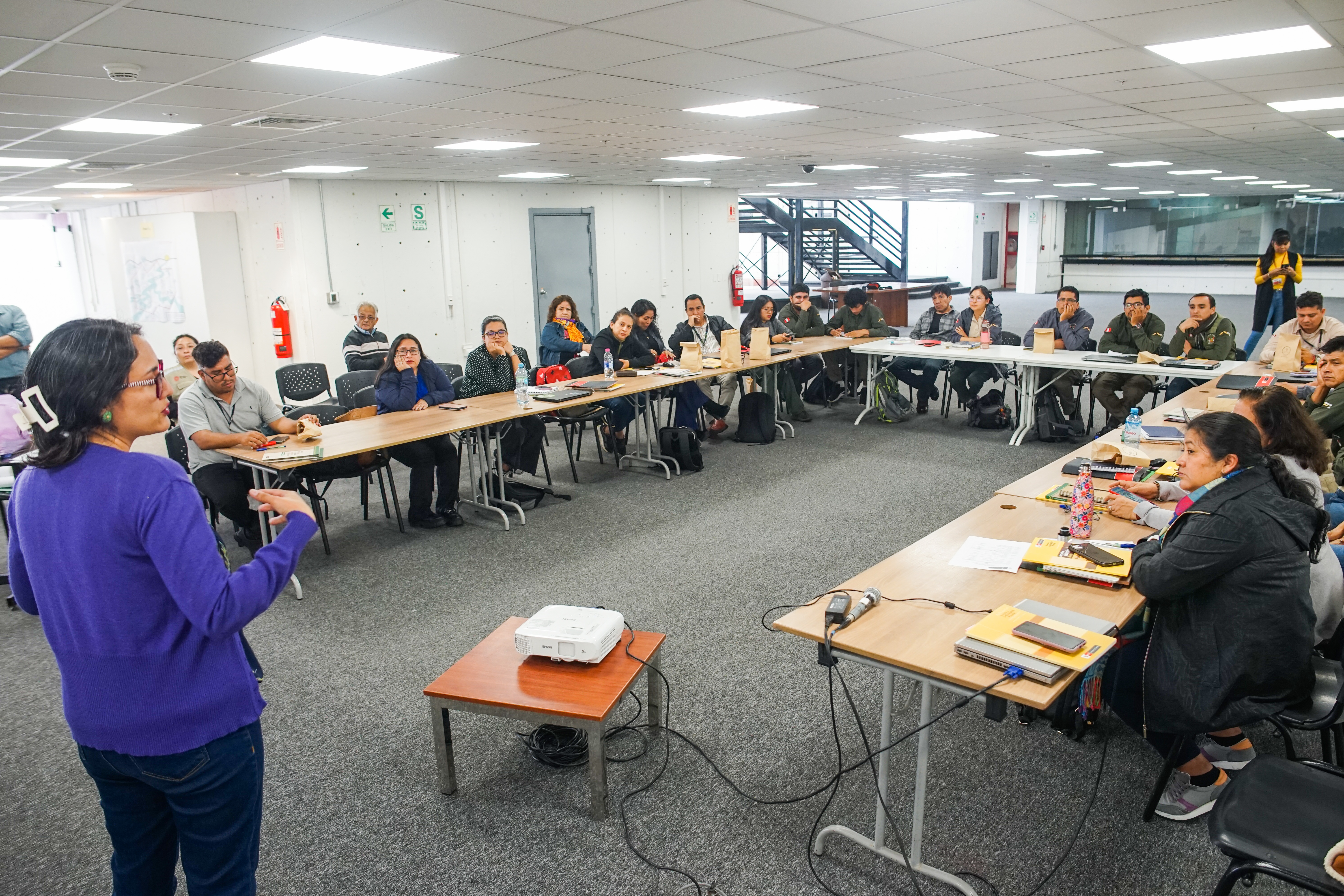 Taller Consulta Previa