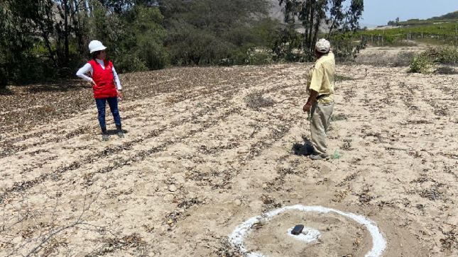 La Contraloría General advirtió que el consorcio seleccionado por la Unidad Ejecutora N°002, de la Autoridad Nacional del Agua (ANA), no realizó ningún trabajo de servicio de limpieza y descolmatación del sector “Lacori” del río Santa Cruz, en la provincia de Palpa. El mencionado lugar es considerado un punto crítico ante la posible llegada del Fenómeno del Niño. 